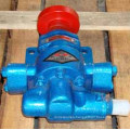 High Quality Petroleum Oil Gear Pump